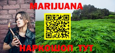 сатива Долгопрудный