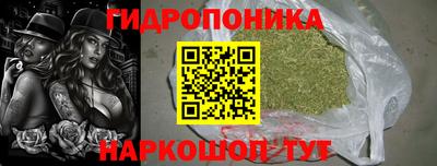 мдпв Гуково