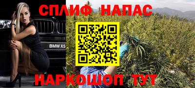 мдпв Гуково