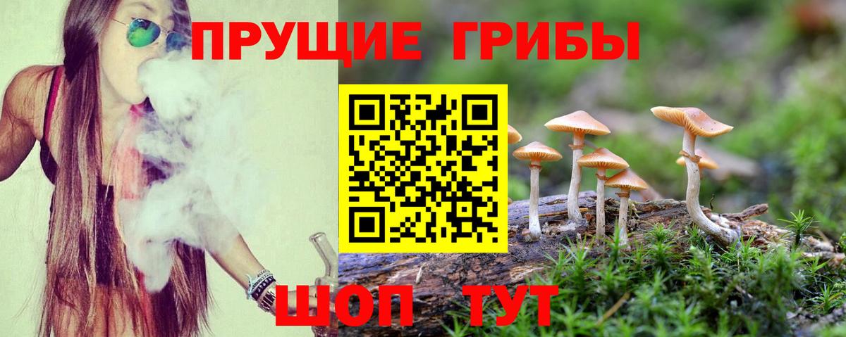 Железногорск  Псилоцибиновые грибы GOLDEN TEACHER  Галлюциногенные грибы Psilocybine cubensis  Вход с VPN 